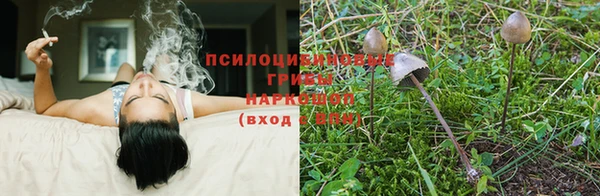 спиды Армянск